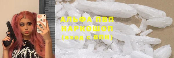 прущие крисы Белокуриха
