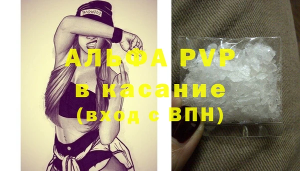 прущие крисы Белокуриха