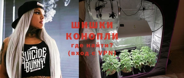прущие крисы Белокуриха